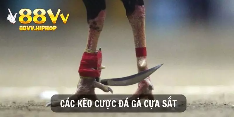 Tìm hiểu các kèo cược cựa sắt hấp dẫn tại 88VV